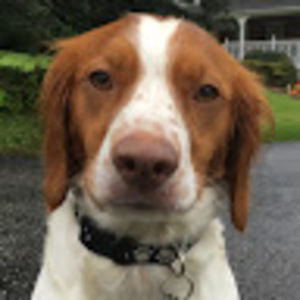 Meet your Posher, Wyatt